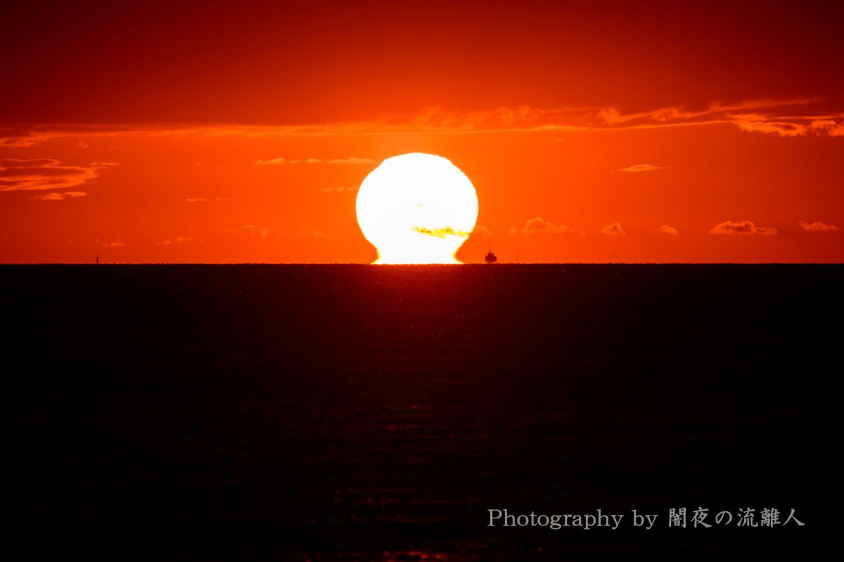 注目製品レビュー ニコン Z8＆超望遠レンズ【飛行機編】 vol.12 だるま