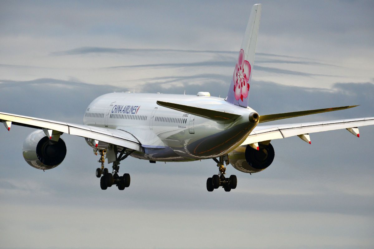 黄昏時の梅花 乗り物 交通 航空機 空港 Ganref