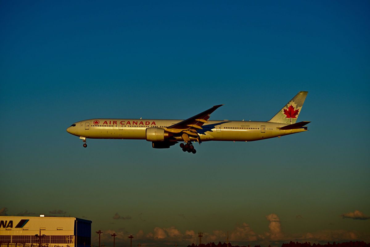 Maple leaf | GANREF