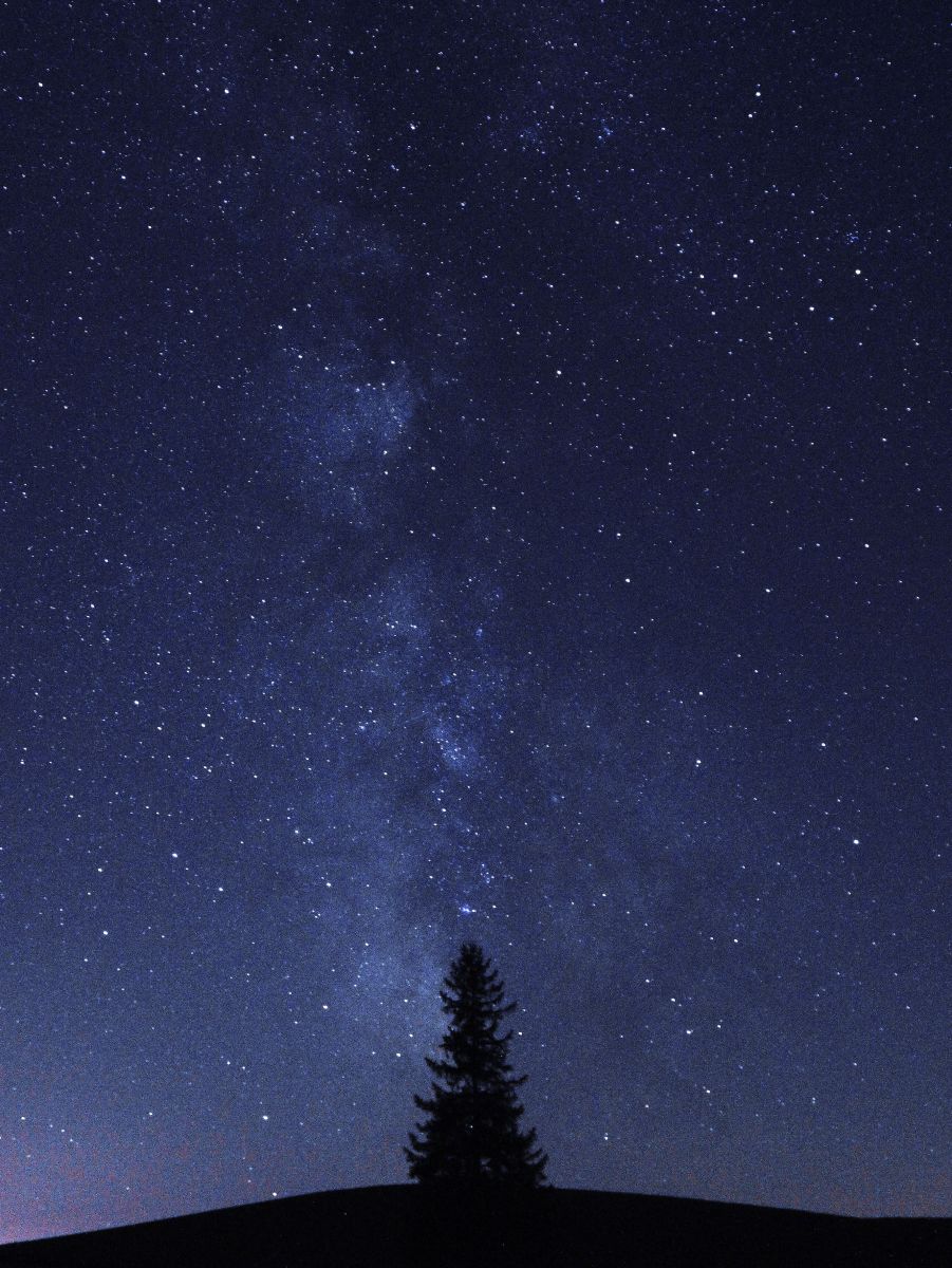 クリスマスツリーと天の川と一人きり 自然 風景 宇宙 天体 Ganref