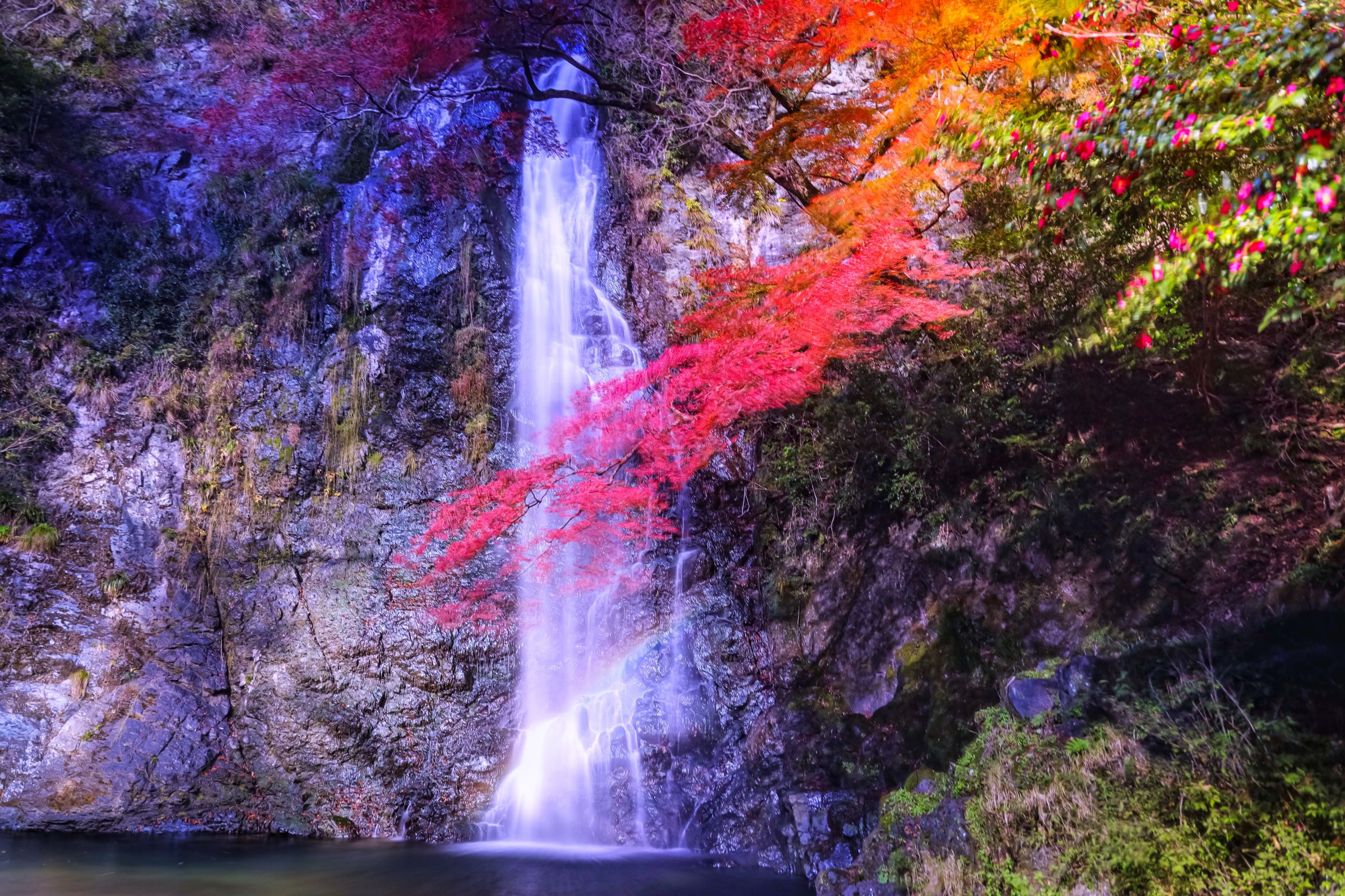 箕面の大滝…紅葉と虹景🍁 | GANREF