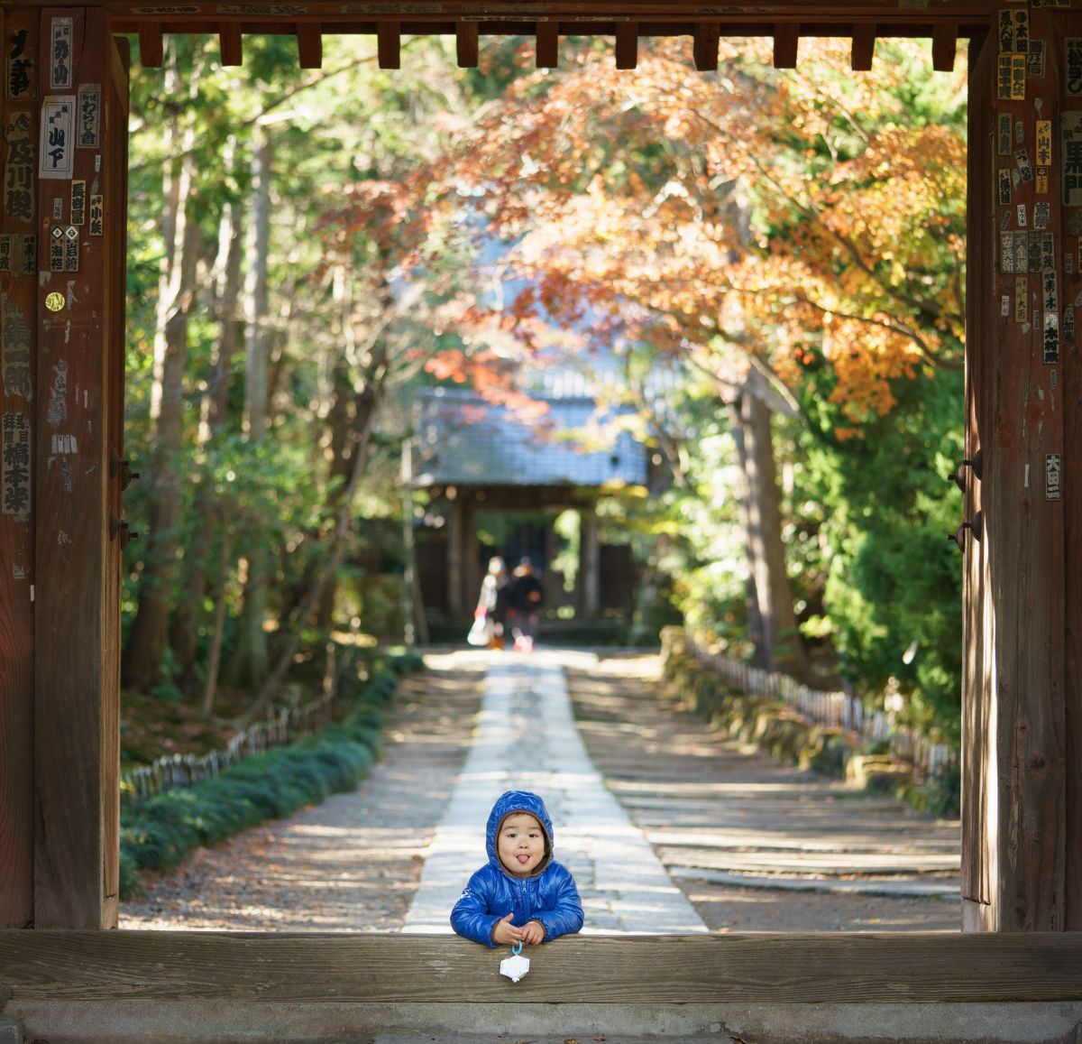 FE 90mm F2.8 Macro G OSSで撮影された写真 | 写真検索 | GANREF