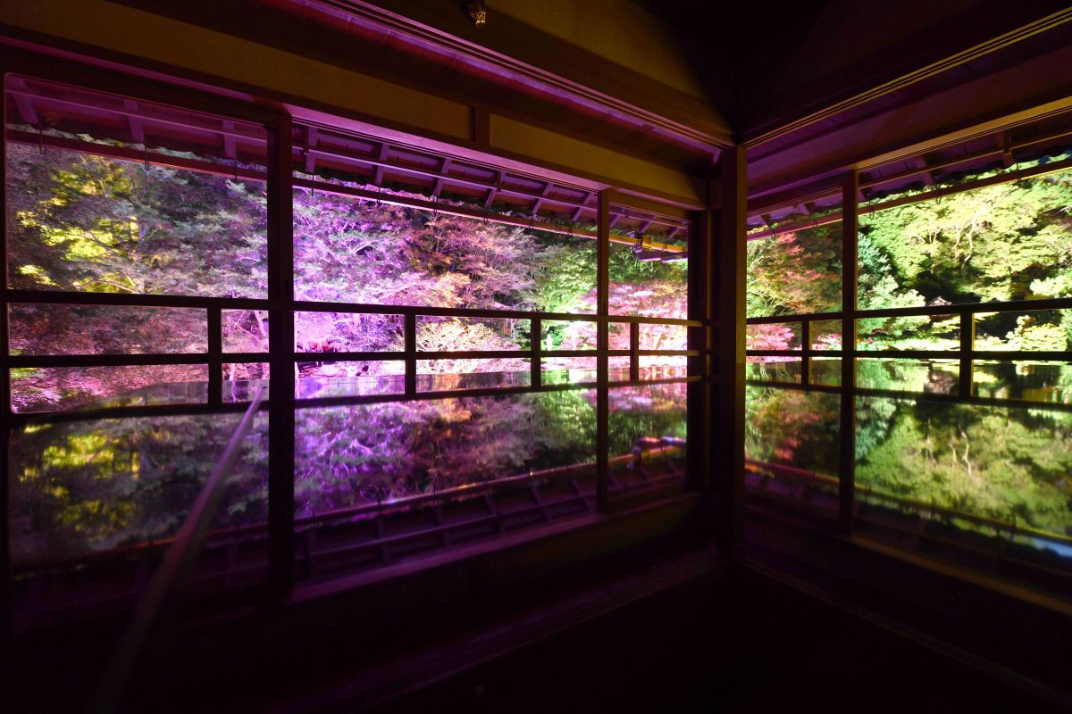 Ai AF Nikkor 28mm F1.4Dで撮影された写真 | 写真検索 | GANREF