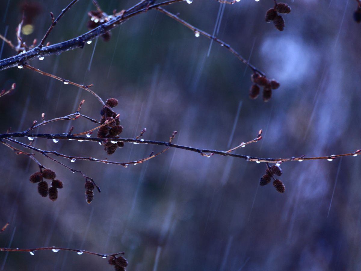 冷たい雨 自然 風景 大地 Ganref