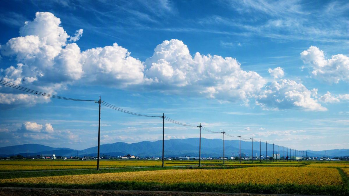 LUMIX DMC-TZ85で撮影された写真 | 写真検索 | GANREF