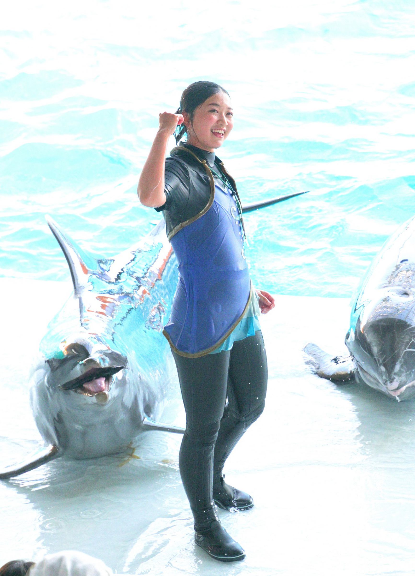 イルカショウのお姉さん | GANREF
