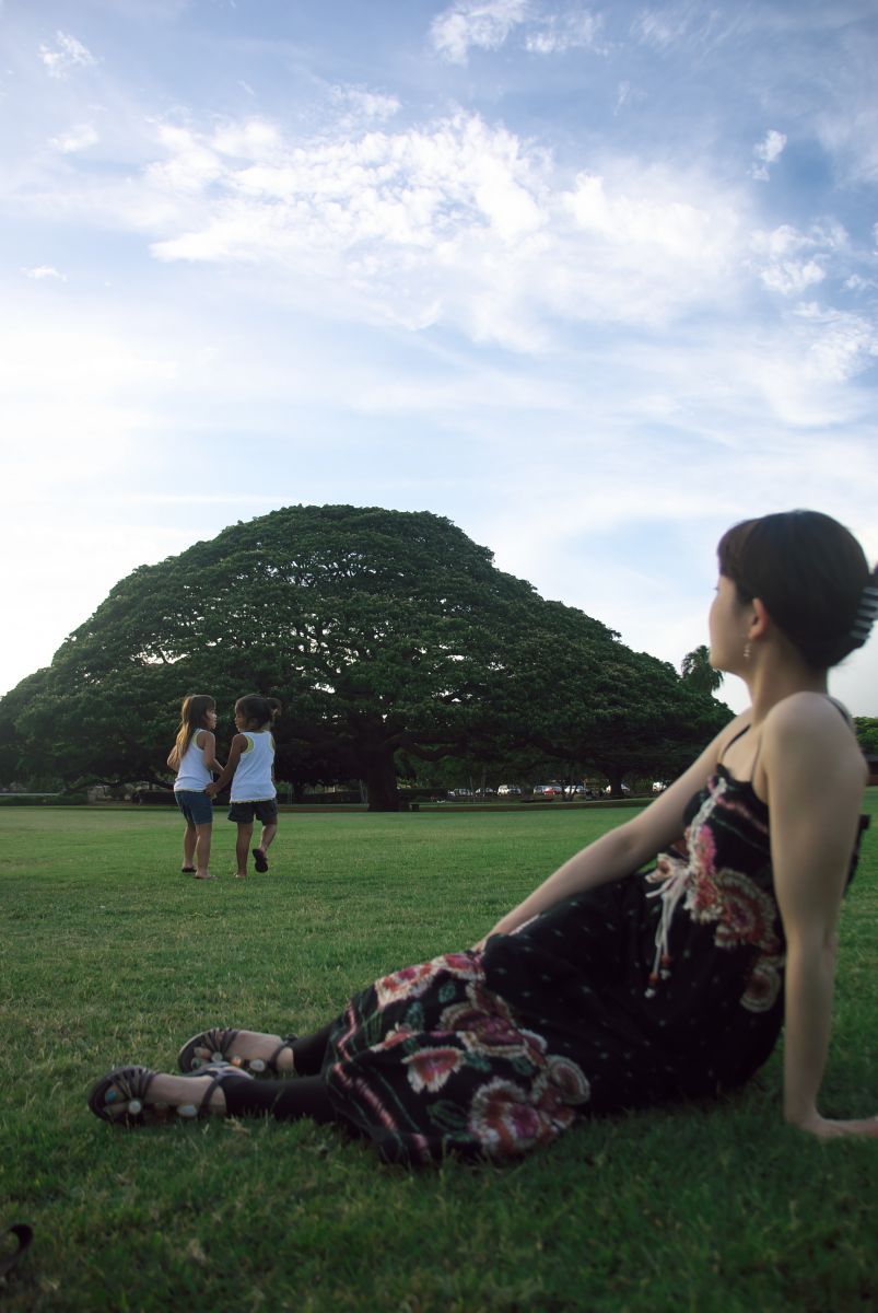 この木 なんの木 気になる木 植物 樹木 Ganref