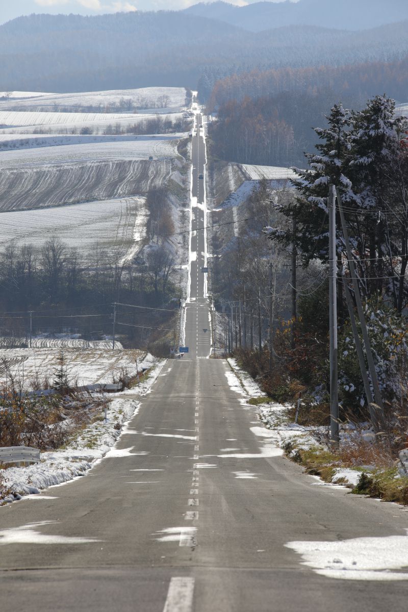 美瑛ジェットコースターの路2 自然 風景 大地 Ganref