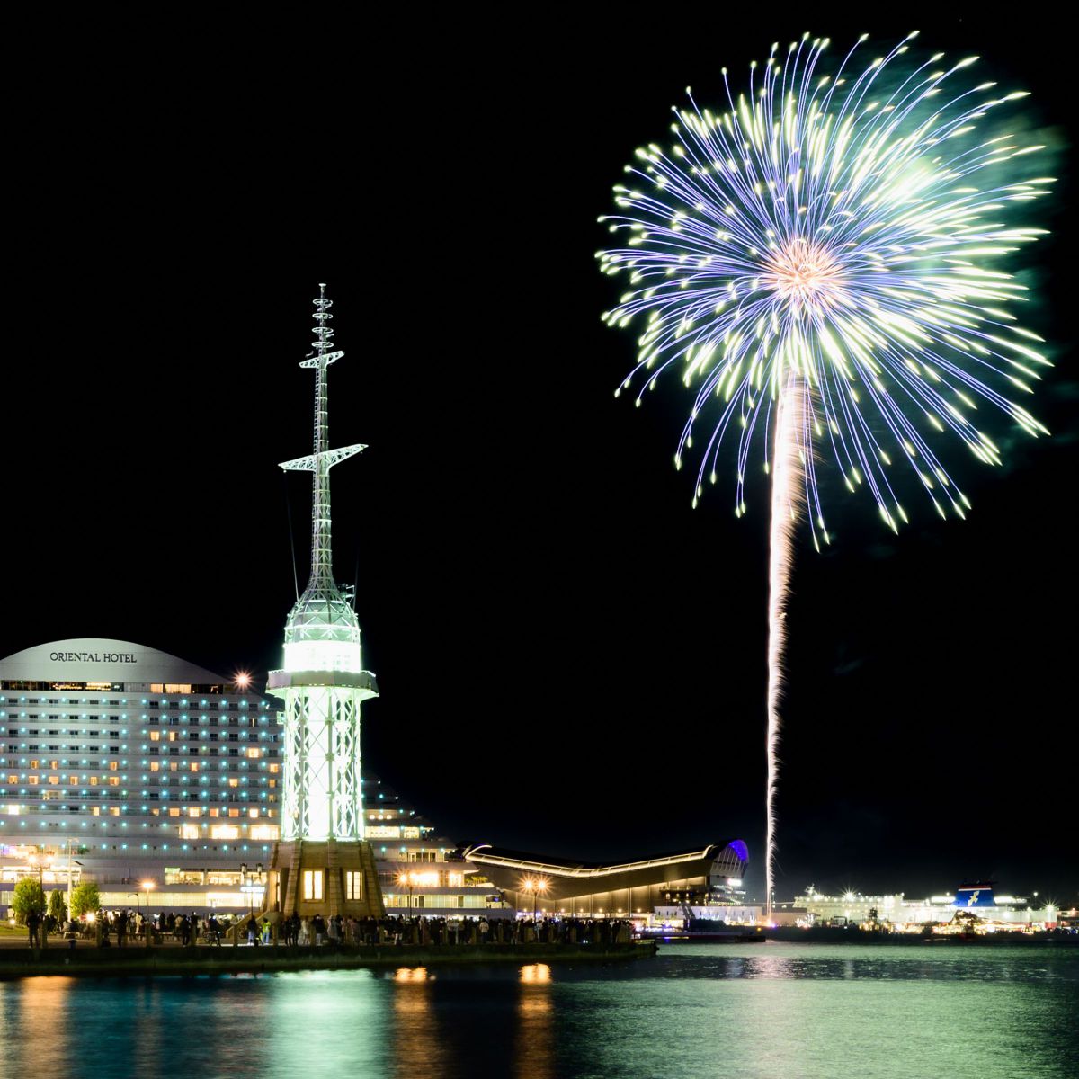 エルサ：elsa | GANREF