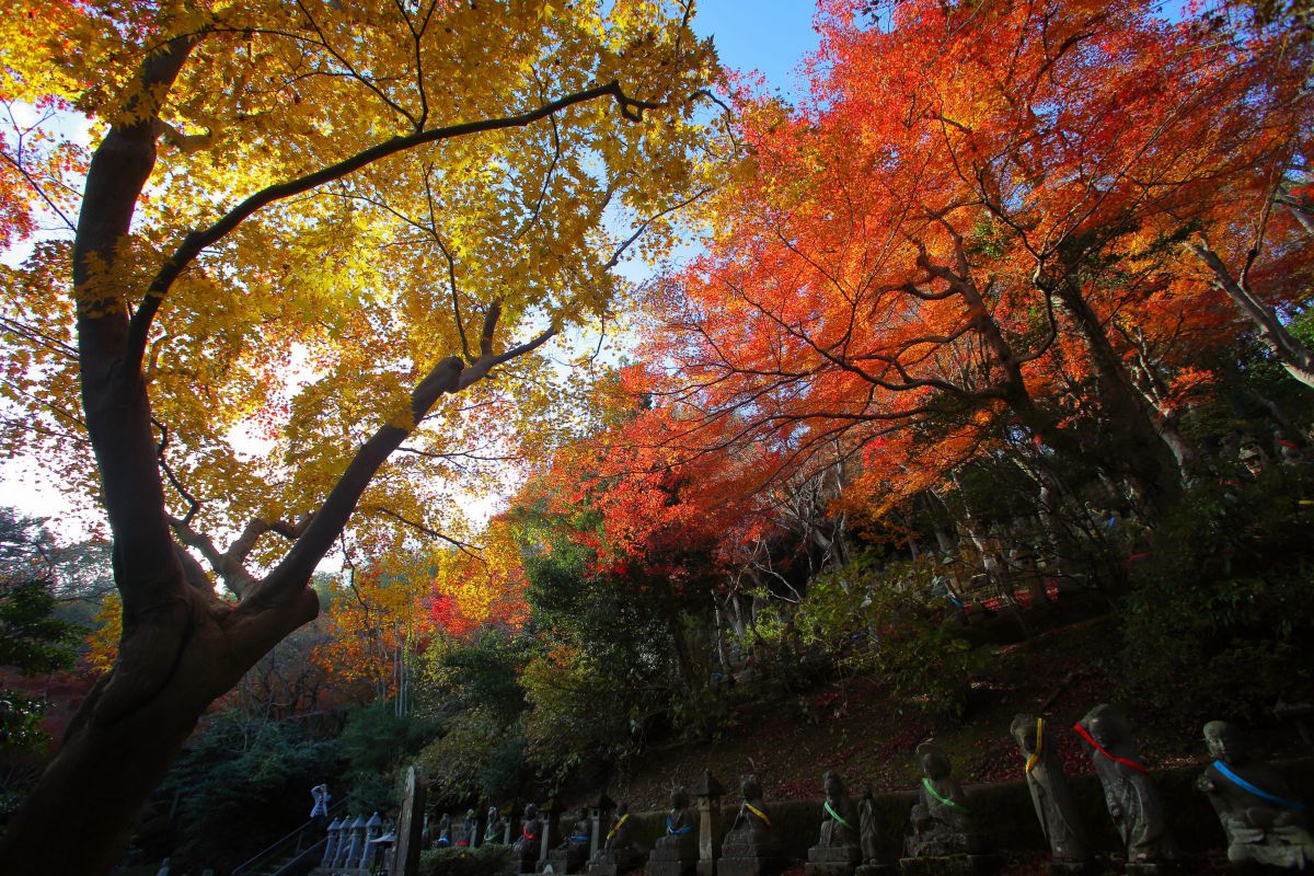 EF 17-35F2.8L USM 作例あり EF17-35mm F2.8L USMで撮影された写真 | 写真検索 | GANREF