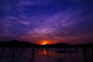 夕日の感動 夕日の感動