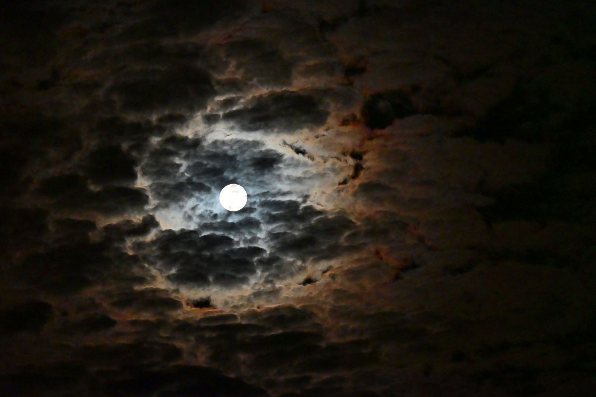 Full moon | GANREF