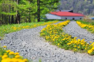 c2c67b9c77114b25f13c29184ade53