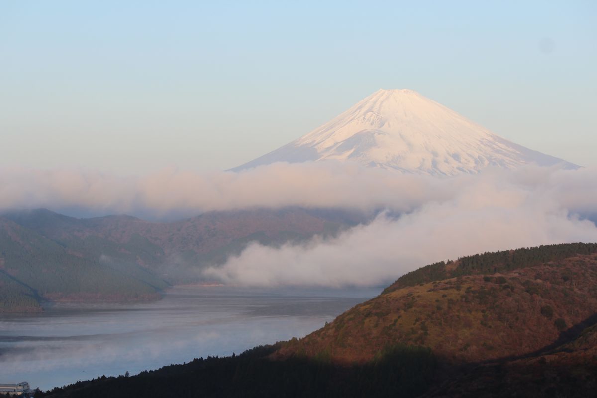 りんりのりこぱぱ ❣美しいボケ味❣EF-S 55-250mm IS II りんりのりこぱぱ 様専用❣美しいボケ味❣EF-S 55-250mm IS II