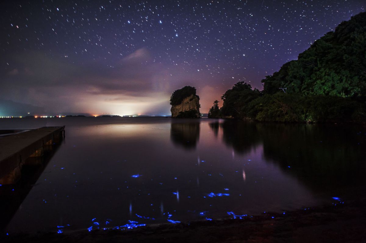 海ホタルの遊ぶ湾にて 自然 風景 宇宙 天体 Ganref