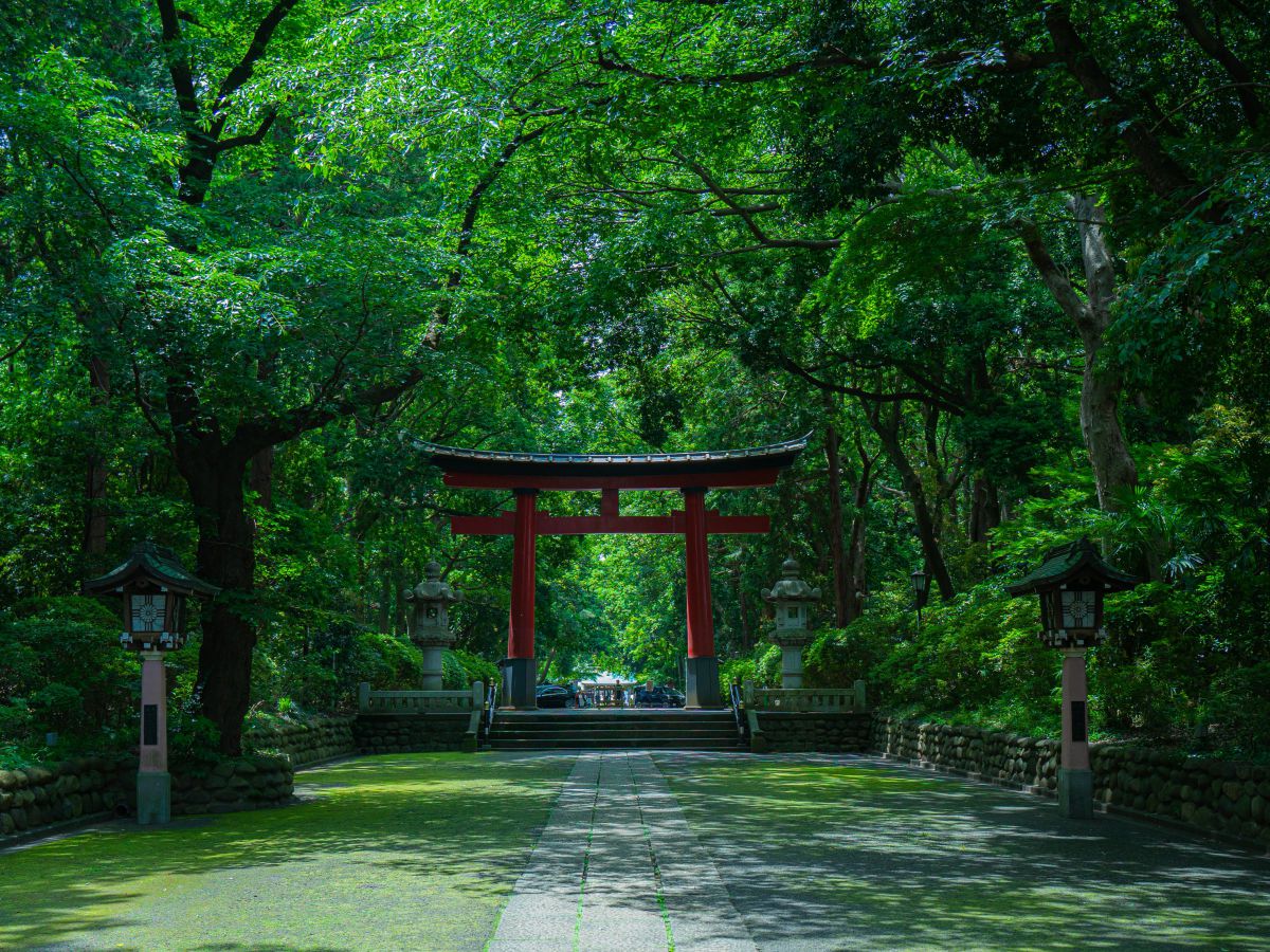 鎮守の杜 | GANREF