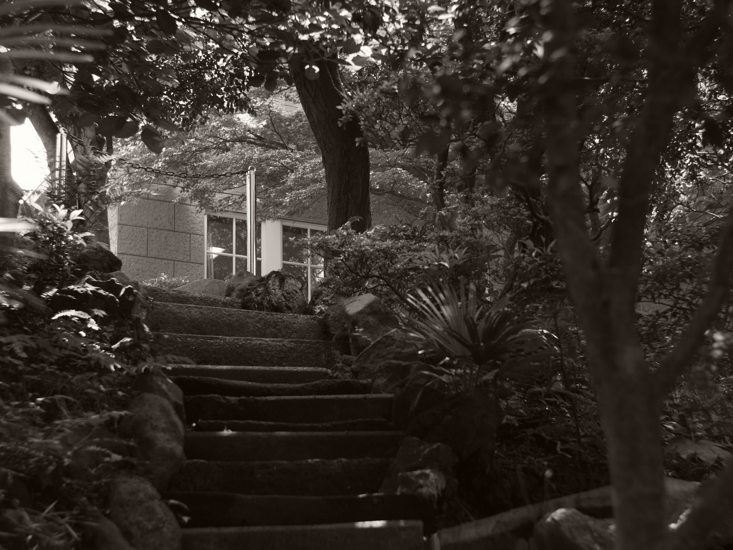 森の洋館 | GANREF