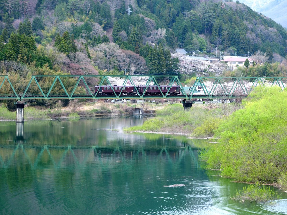 FUJIFILM GFX 50Rで撮影された写真 | 写真検索 | GANREF