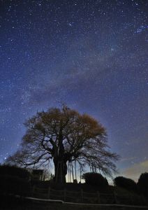 c56581a04fa540904f9581b59cd19f