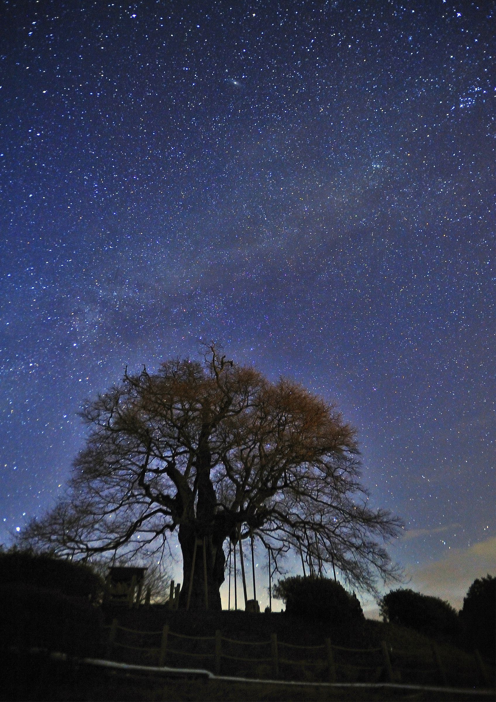 星降る夜 | GANREF