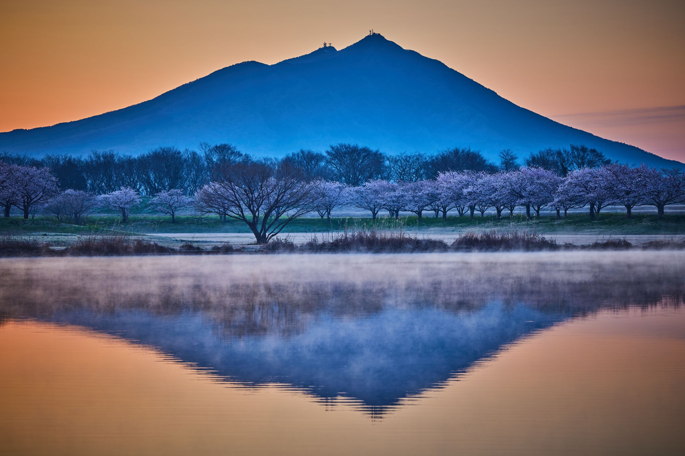 母子島遊水地 | GANREF