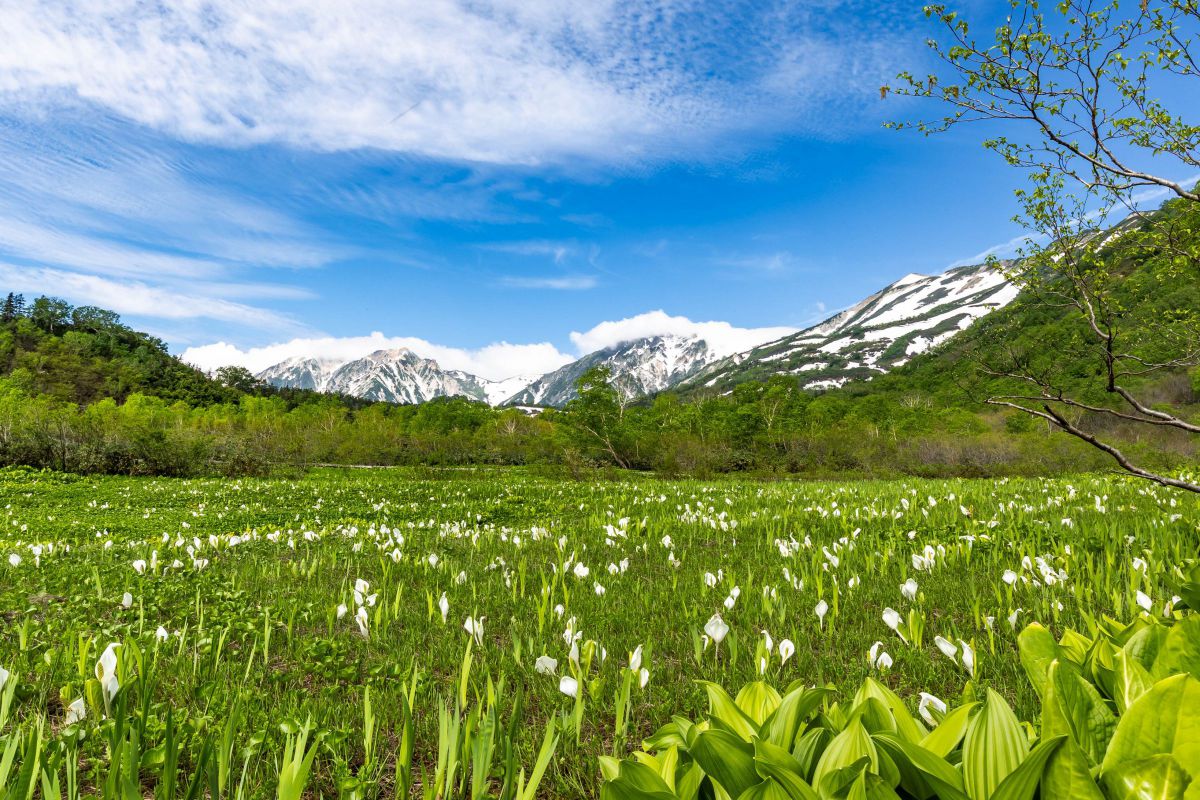 The most beautiful place TSUGAIKE | GANREF