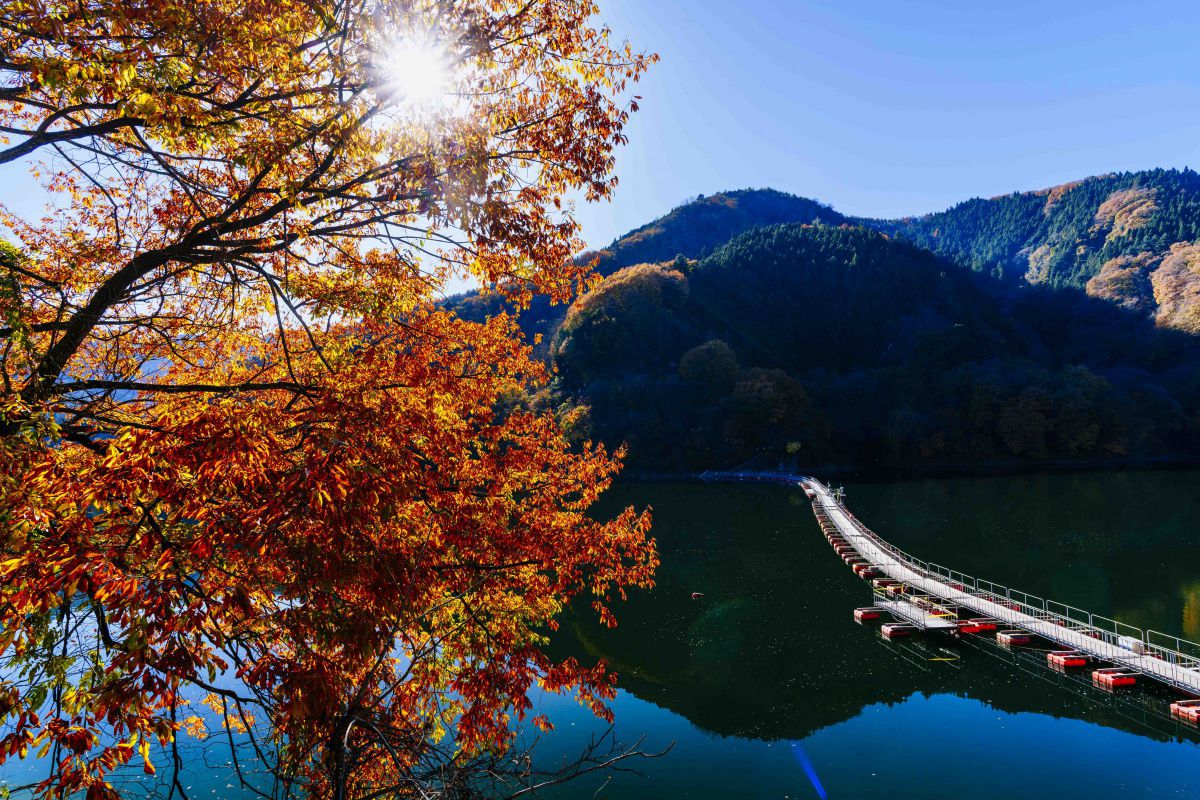 浮き橋 | GANREF