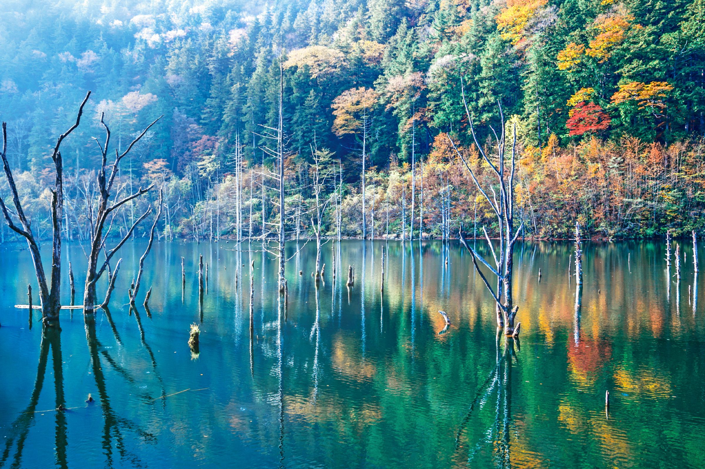 ZNE 血染めのぬかるみ　樹木茂る山麓　乾燥台地　沸騰する小湖　ボーダーレス haimatsu.jpg