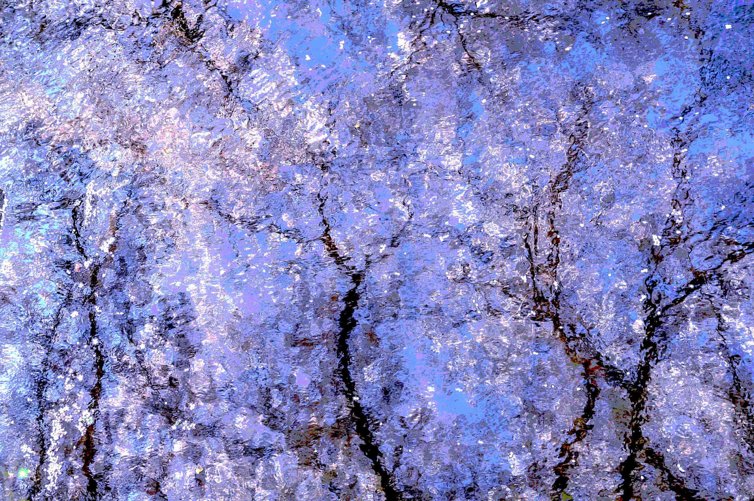 目黒川の桜（4）印象派風青系（似た物の為お気に入り不要です） | GANREF