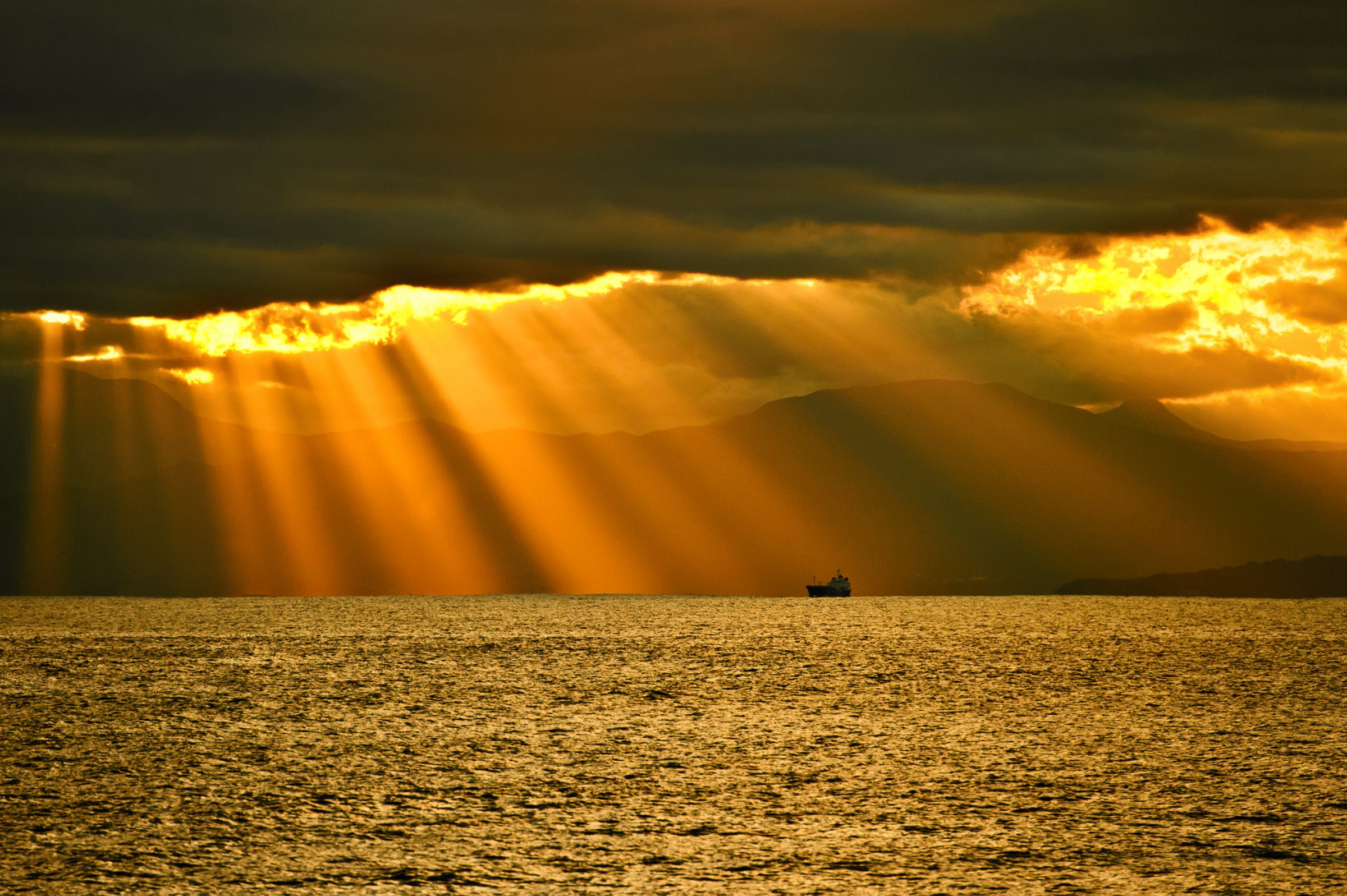 希望の光 | GANREF