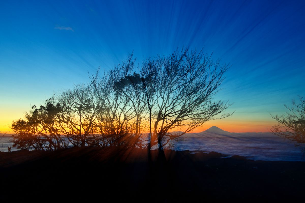 D3Sで撮影された写真 | 写真検索 | GANREF