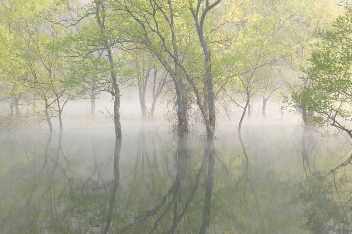 16-300mm F3.5-6.7 DC OS | Contemporaryで撮影された写真 | 写真検索