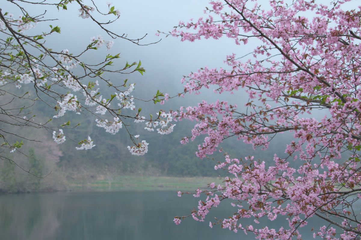 16-300mm F3.5-6.7 DC OS | Contemporaryで撮影された写真 | 写真検索
