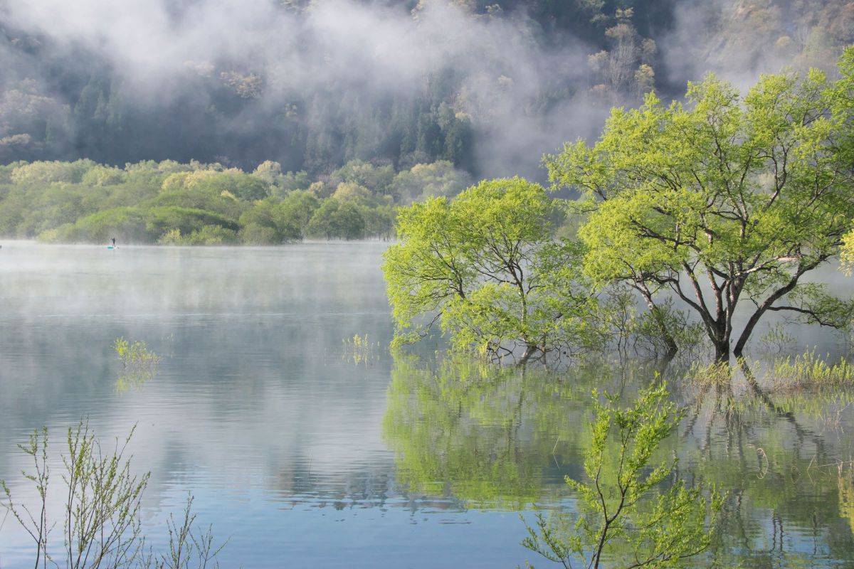 16-300mm F3.5-6.7 DC OS | Contemporaryで撮影された写真 | 写真検索
