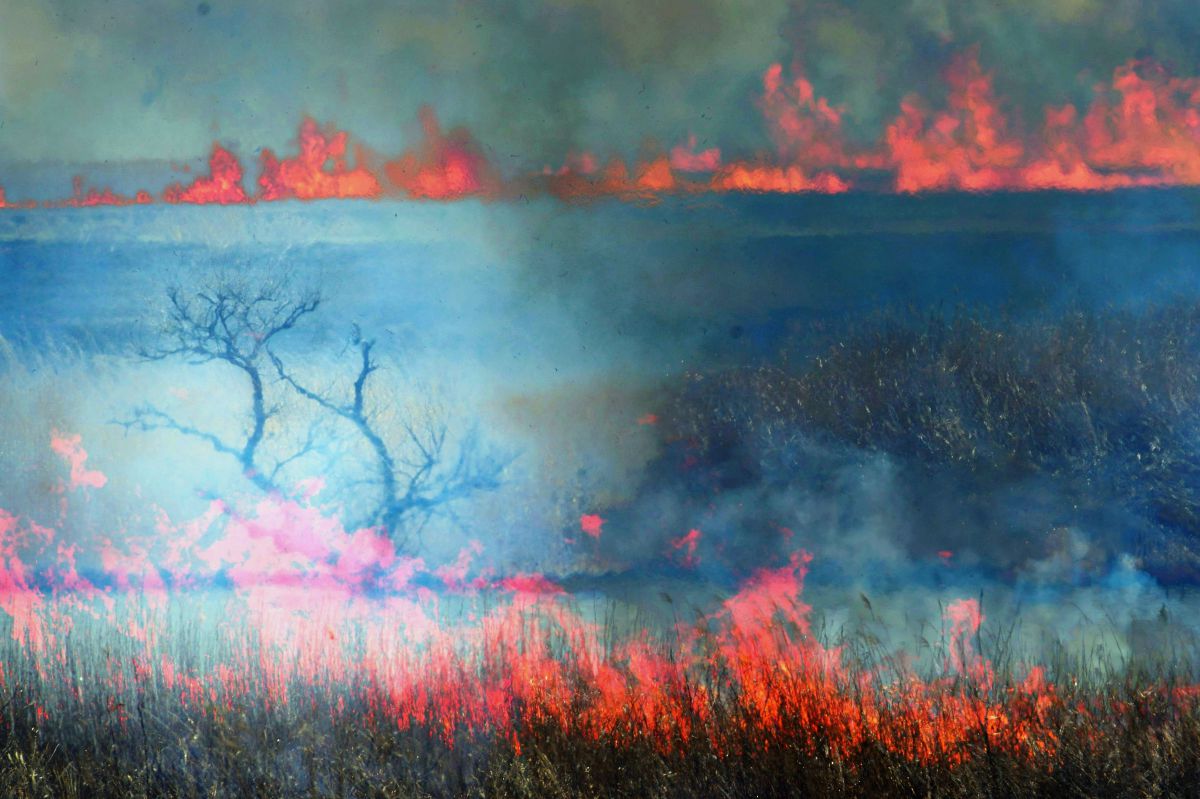 灼熱の業火 自然 風景 大地 Ganref