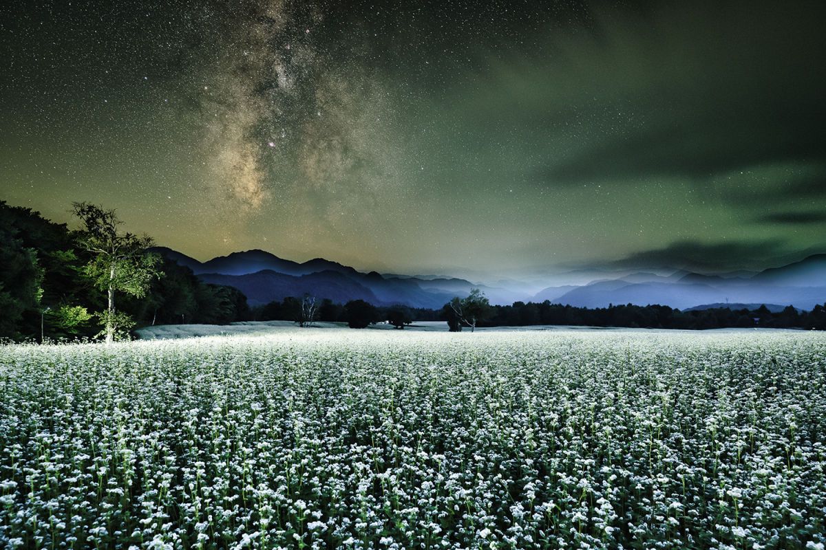 NIKKOR Z 20mm f/1.8 Sで撮影された写真 | 写真検索 | GANREF