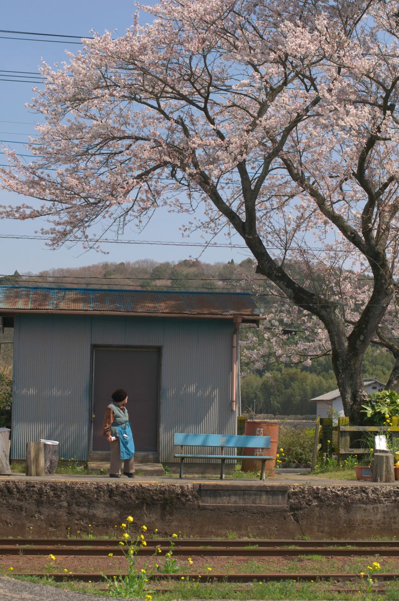 青い前掛け 青いベンチ 乗り物 交通 鉄道 駅 Ganref