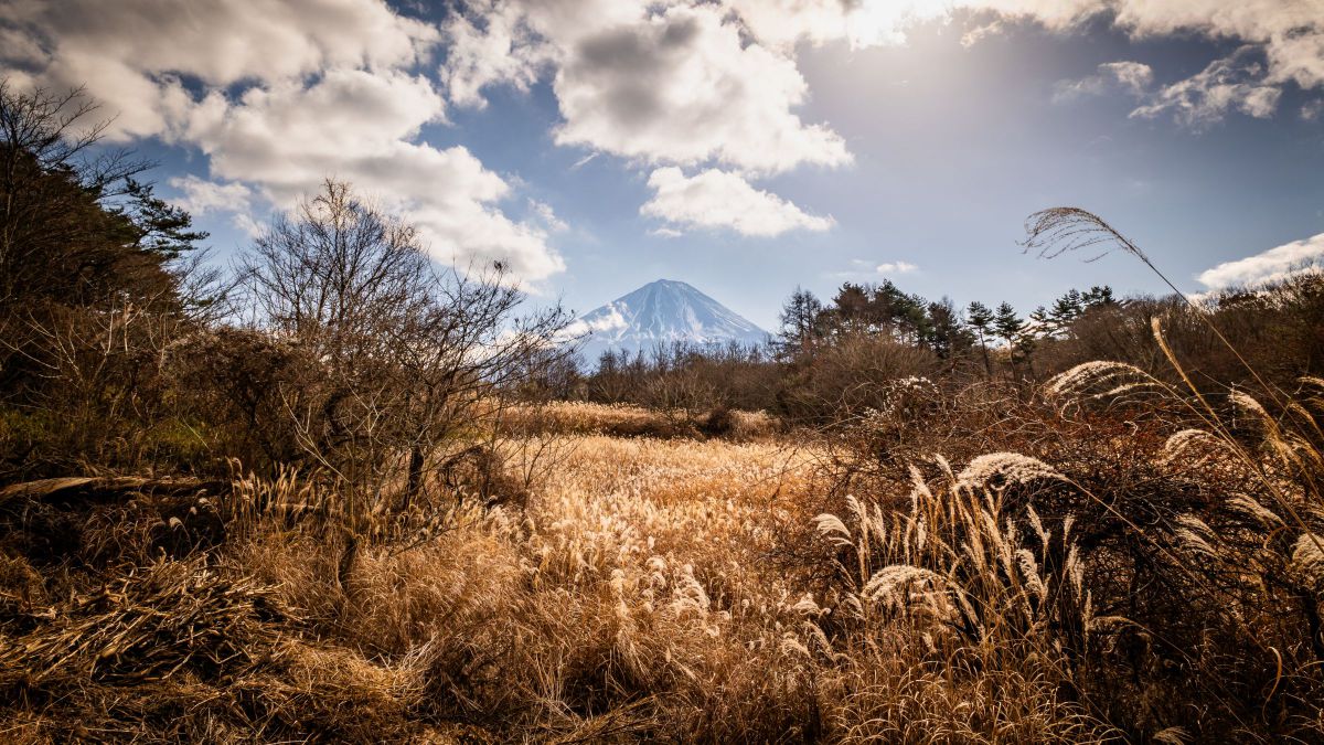 20-200mm F3.5-6.3 DG | Contemporaryで撮影された写真 | 写真検索