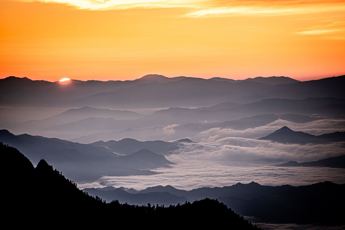 20-200mm F3.5-6.3 DG | Contemporaryで撮影された写真 | 写真検索