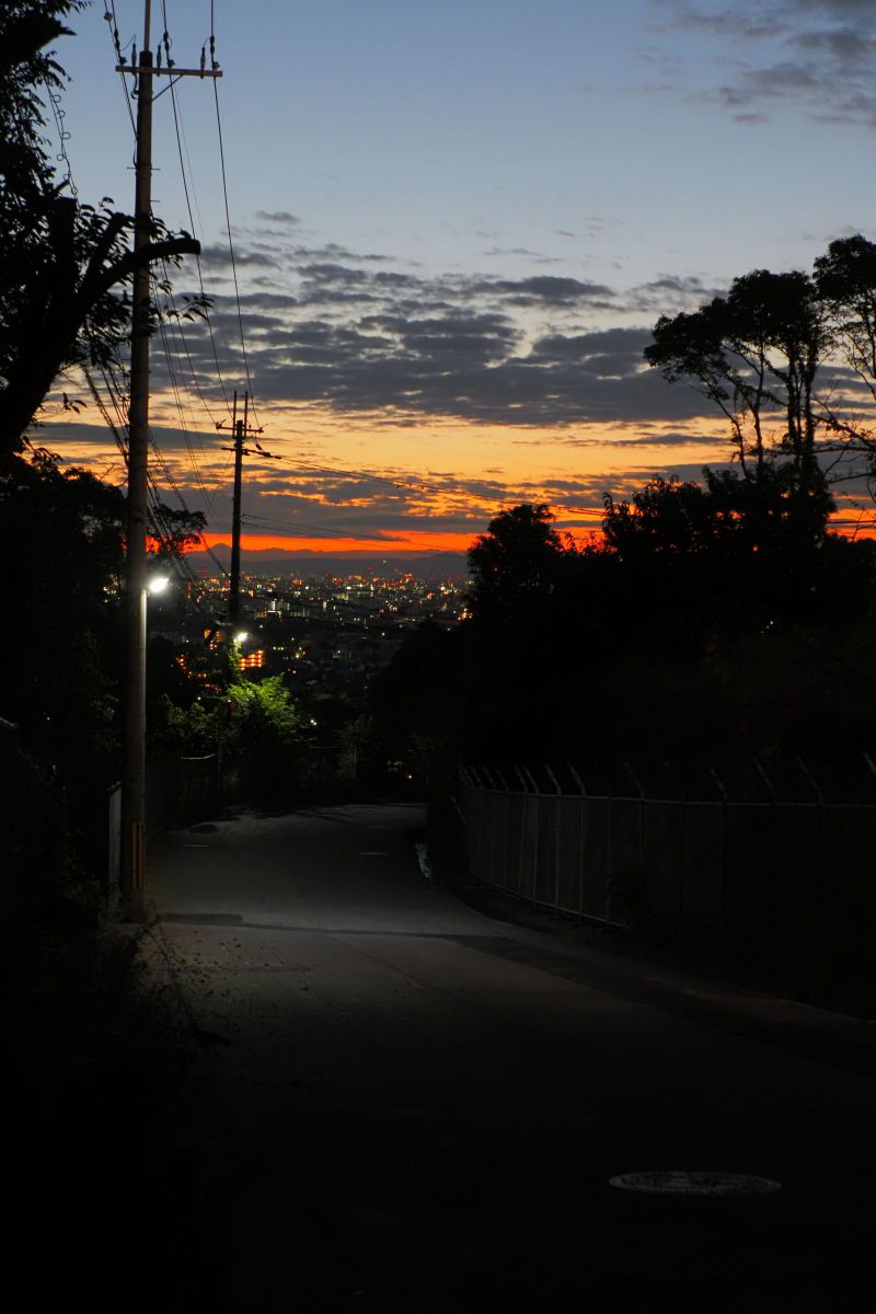 甲山森林公園の日の出 Ganref