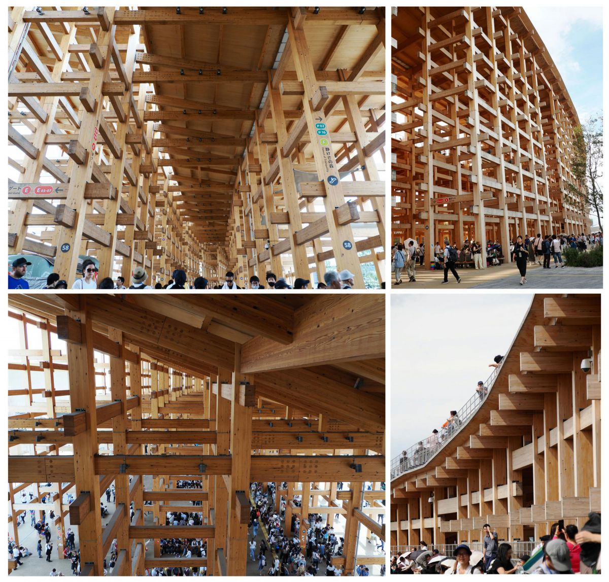 フジカラー 万博 撮影ガイド 大阪・関西万博 | GANREF