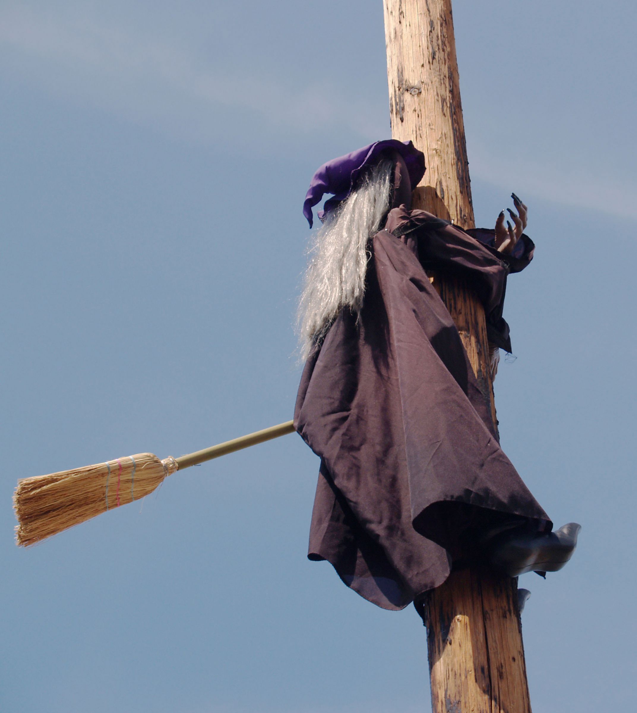 箒に乗った魔女 | GANREF