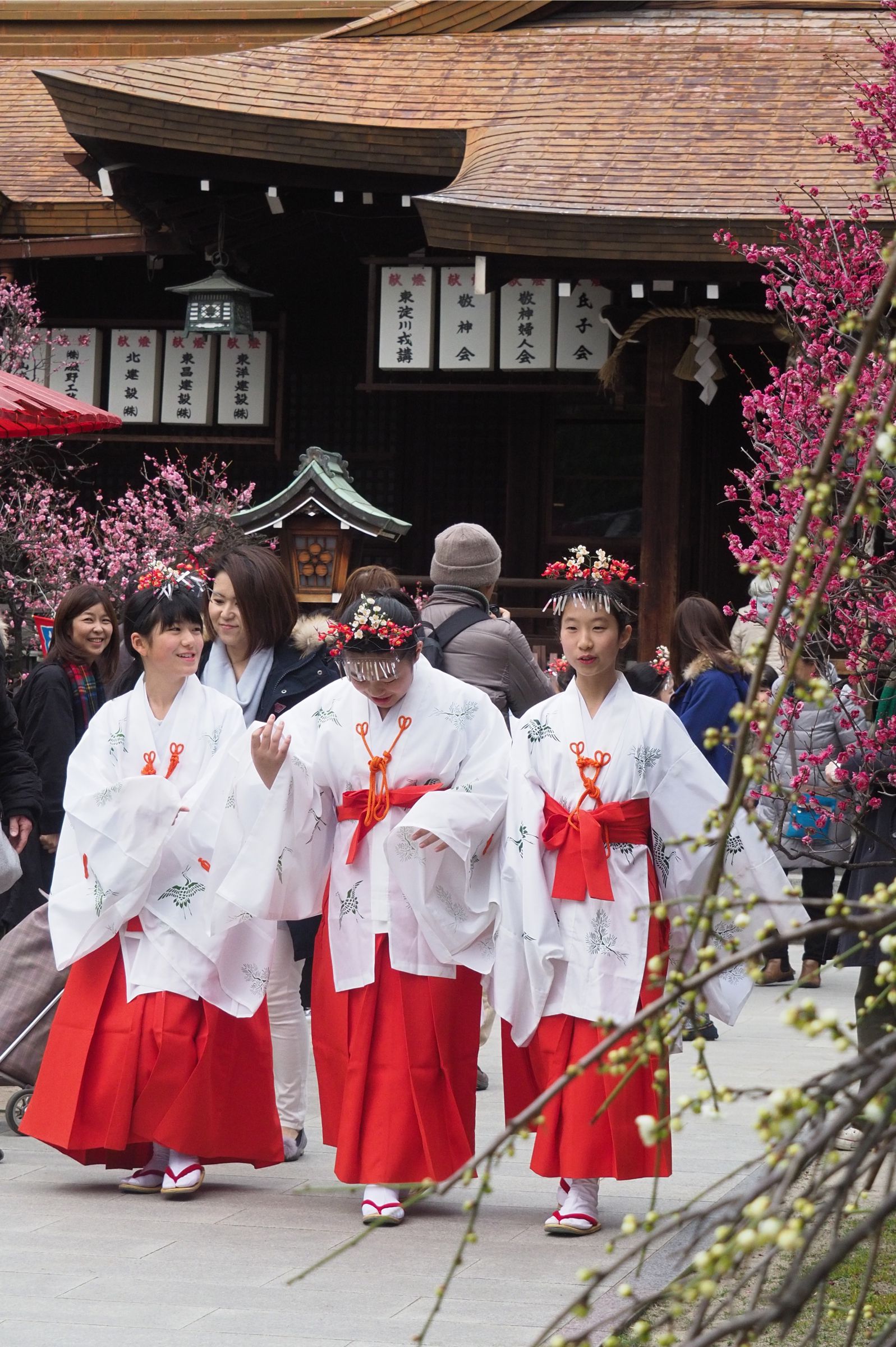 松山神社「早乙女献供行列」の小学生巫女たち | GANREF