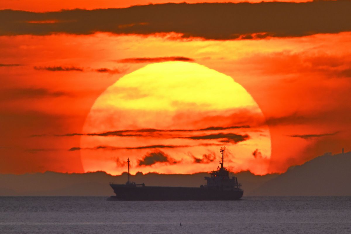 NIKKOR Z 180-600mm f/5.6-6.3 VRで撮影された写真 | 写真検索