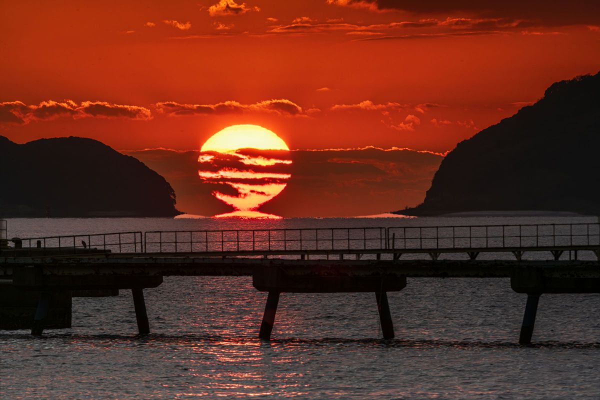 NIKKOR Z 180-600mm f/5.6-6.3 VRで撮影された写真 | 写真検索 | GANREF