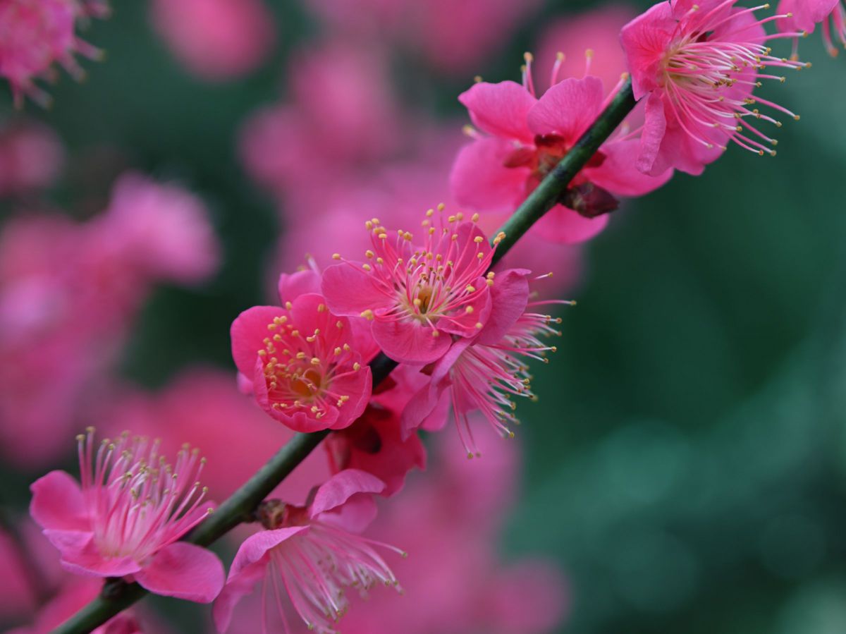AF Zoom Nikkor 28-105mm F3.5-4.5D（IF）で撮影された写真 | 写真検索