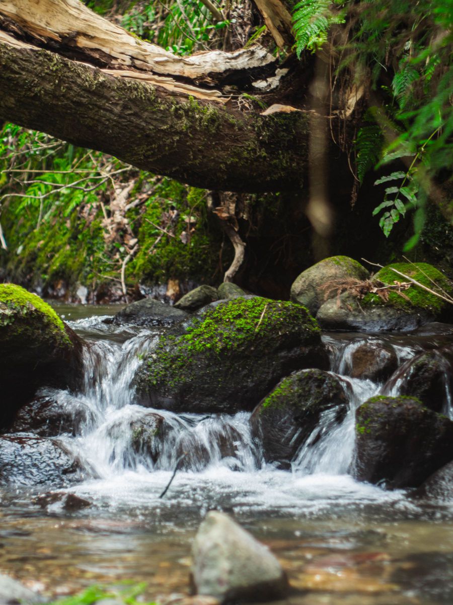 川のせせらぎ GANREF