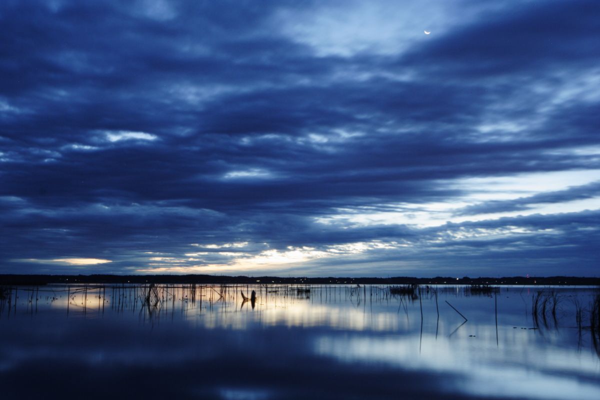 18-50mm F2.8 EX DCで撮影された写真 | 写真検索 | GANREF