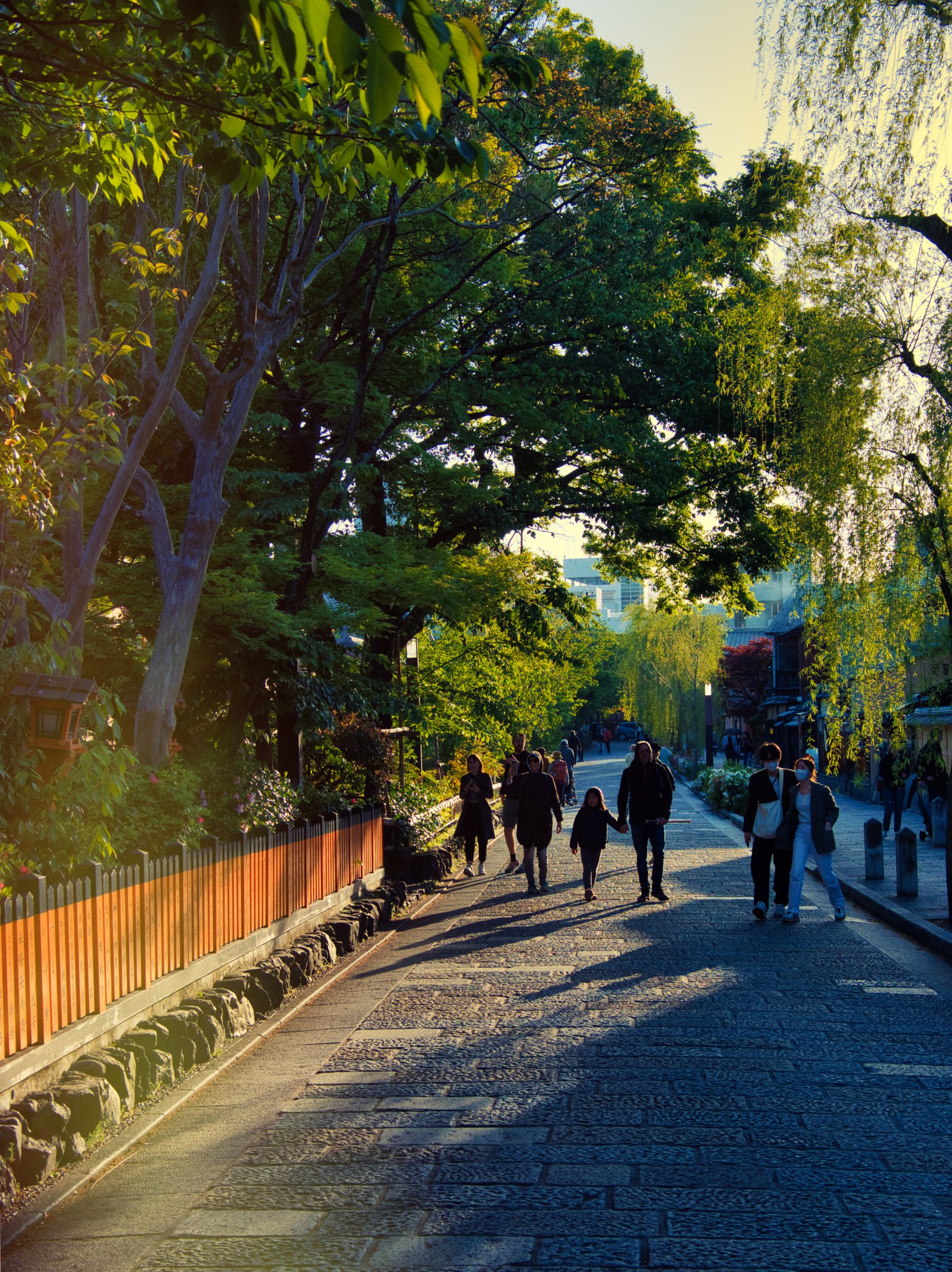 斜陽の風景。 | GANREF