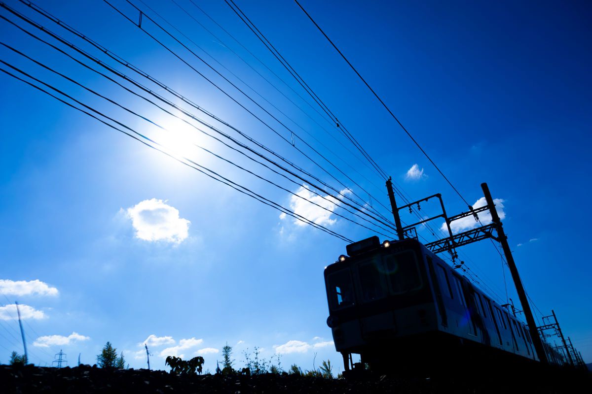 しらたまんさんのポートフォリオ | GANREF